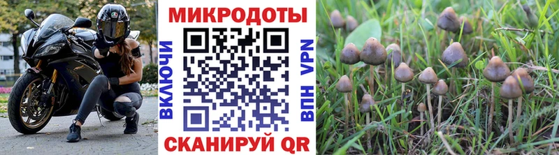 где купить наркоту  Богородицк  Псилоцибиновые грибы Magic Shrooms 
